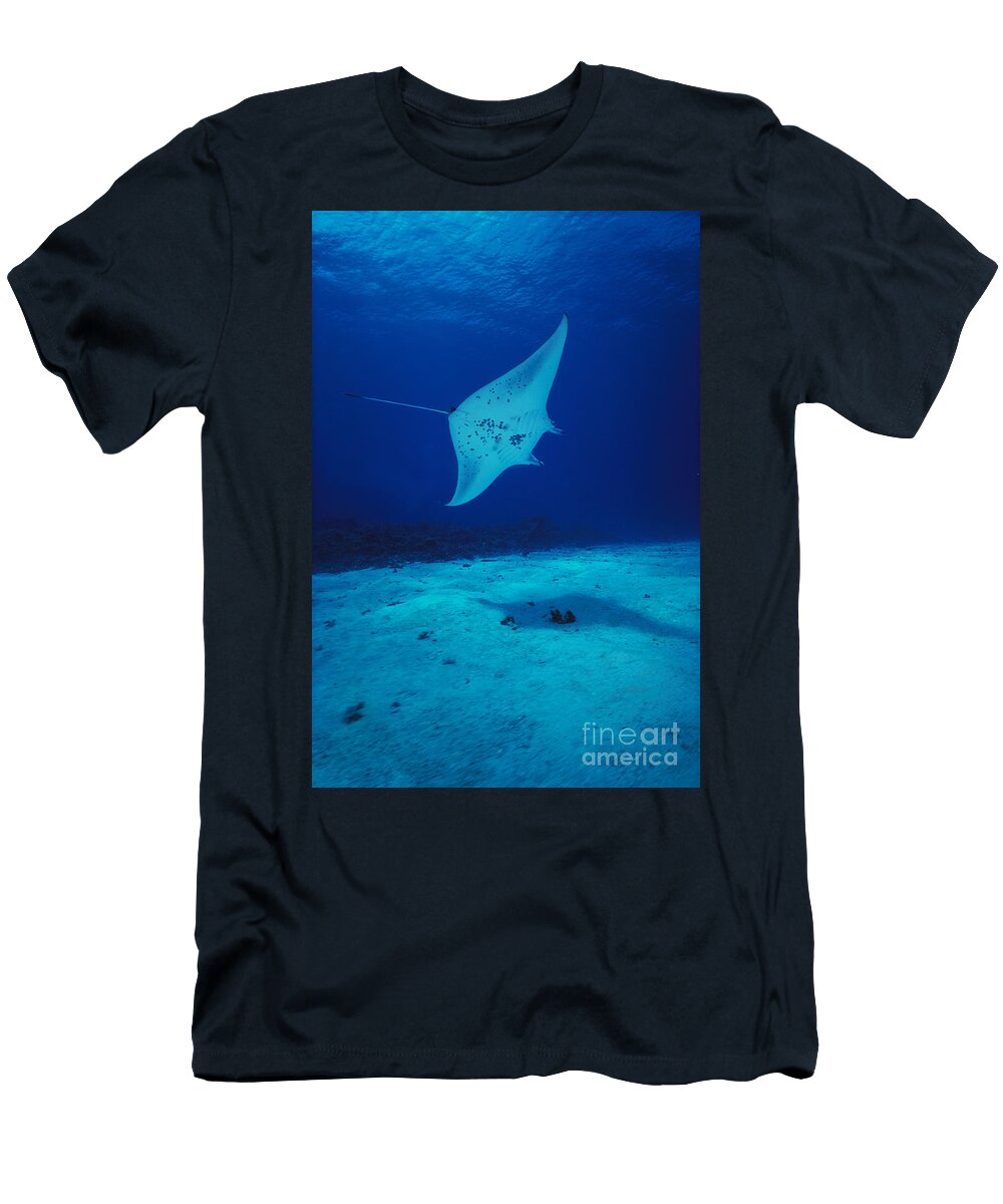 1 Common Manta Ray Ed Robinson T-Shirt