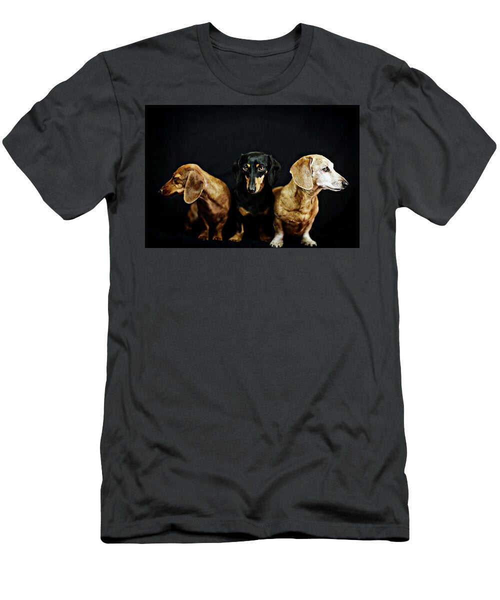 1 Dachshund Pack Johnny Ortez Tibbels T-Shirt