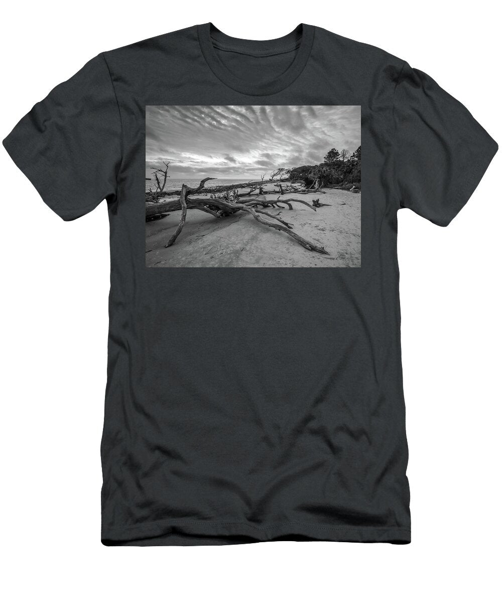 1 Drift Wood Beach Photograph Louis Dallara T-Shirt
