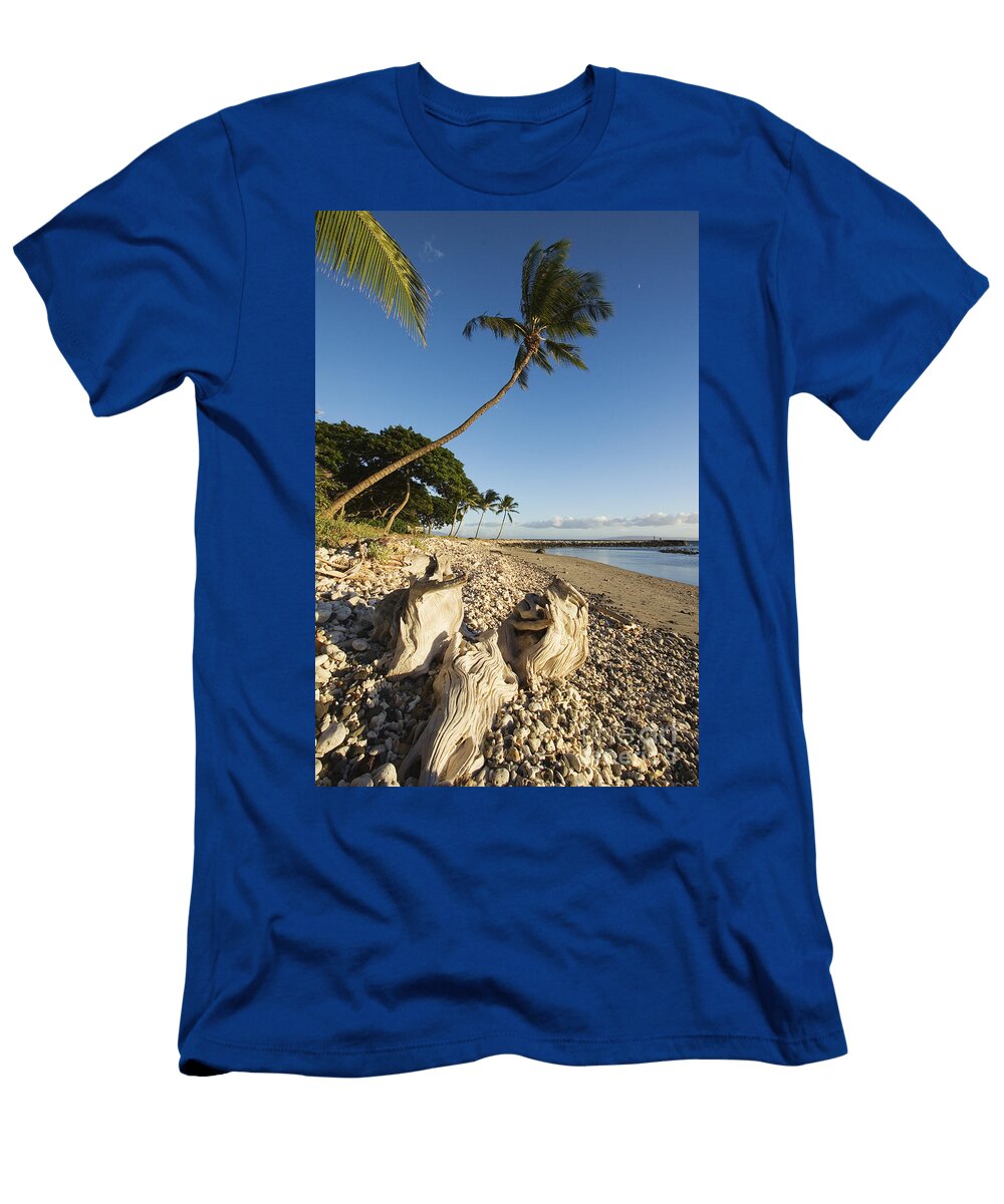 1 Palm and Driftwood Ron Dahlquist T-Shirt