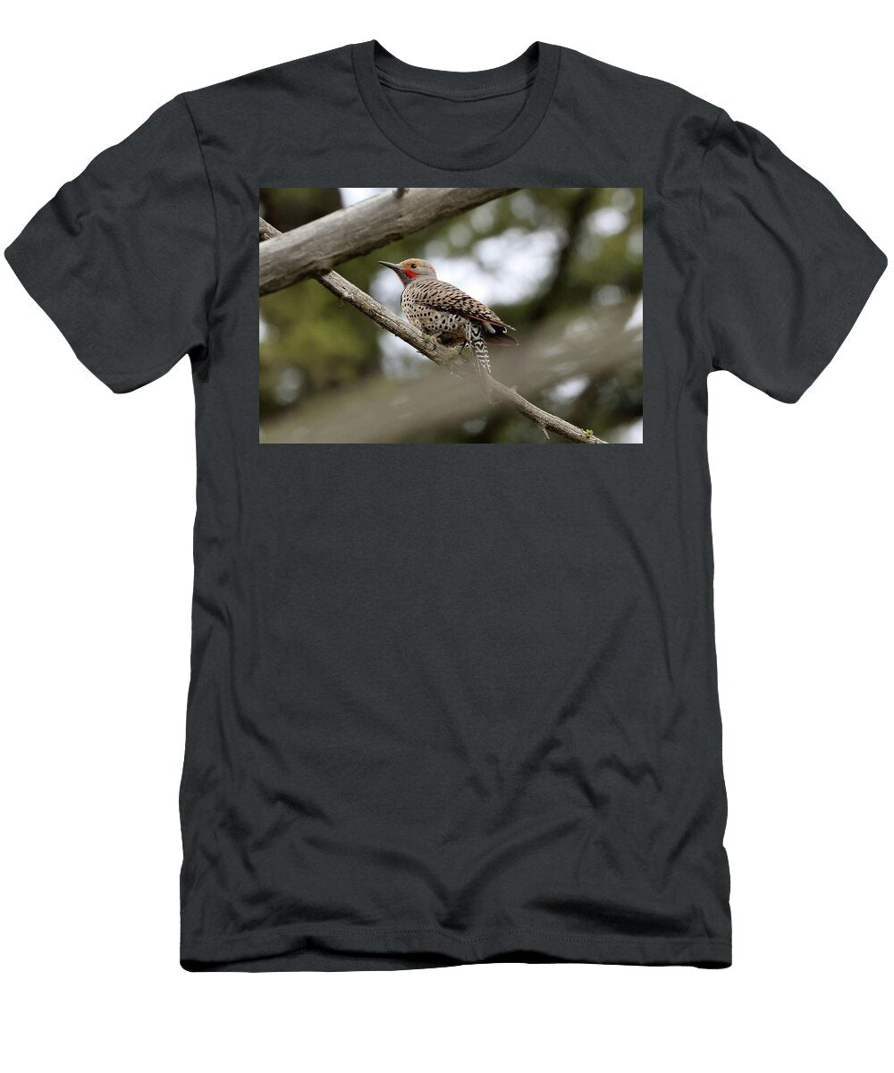 1 Red Shafted Flicker Yellowstone USA Bob Savage T-Shirt