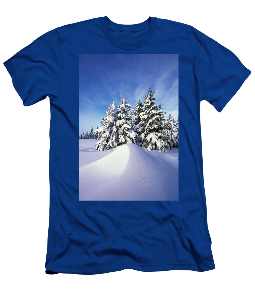 1 Snow Covered Pine Trees Natural Selection Craig Tuttle T-Shirt