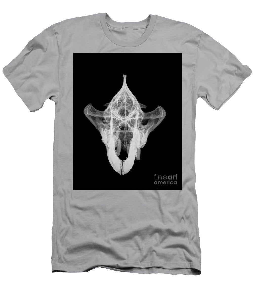 1 X Ray of a Skull of an Hyaena 1 Guy Viner T-Shirt