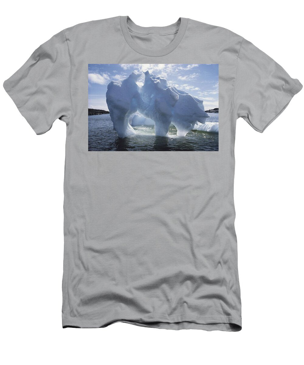 2 Icebergs Antarctica Robert Hernandez T-Shirt