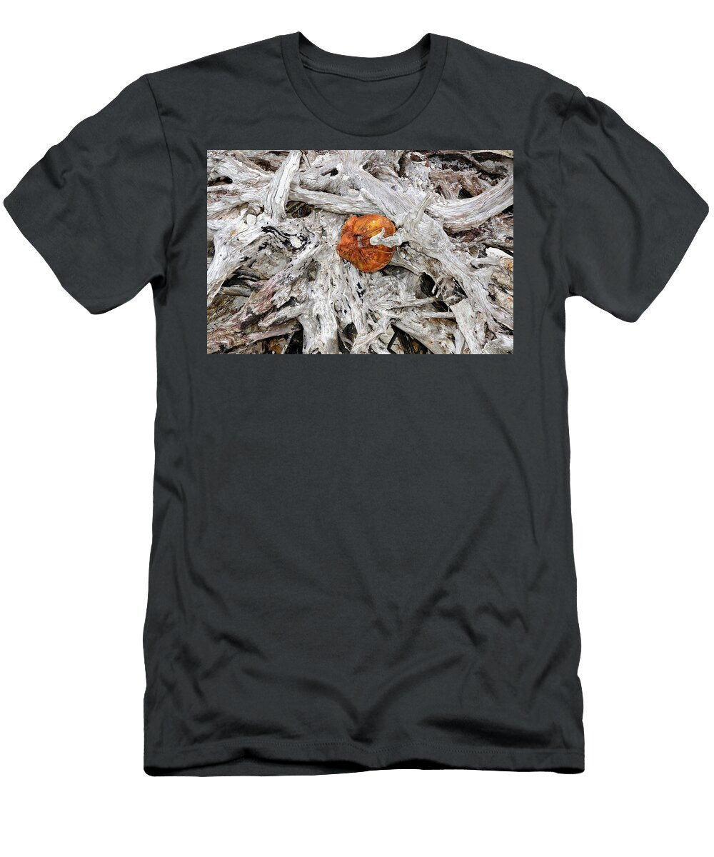 2 S David Lee Thompson T-Shirt