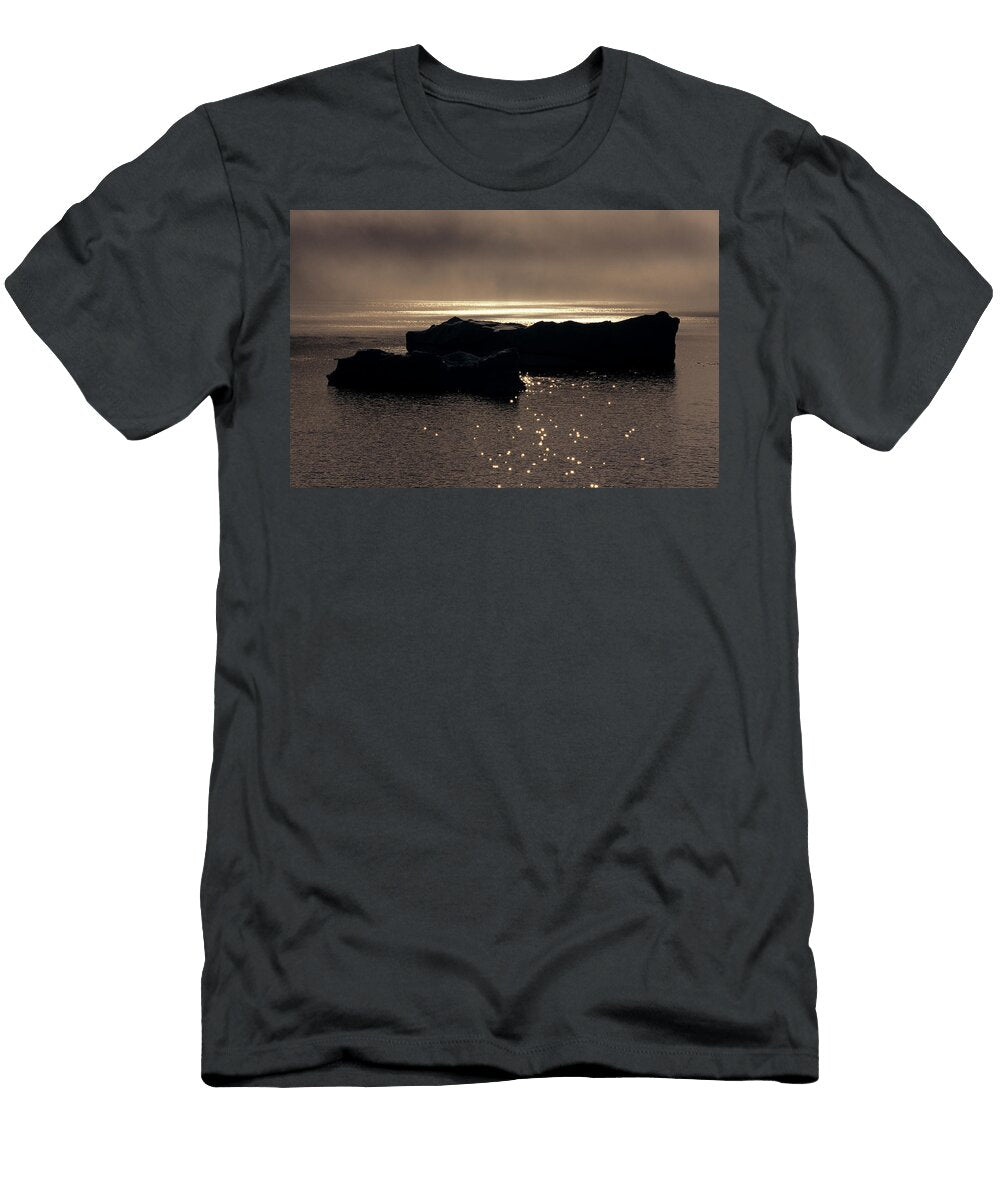 2 West Greenland Icebergs in Disko Bay Marc Steinmetz T-Shirt