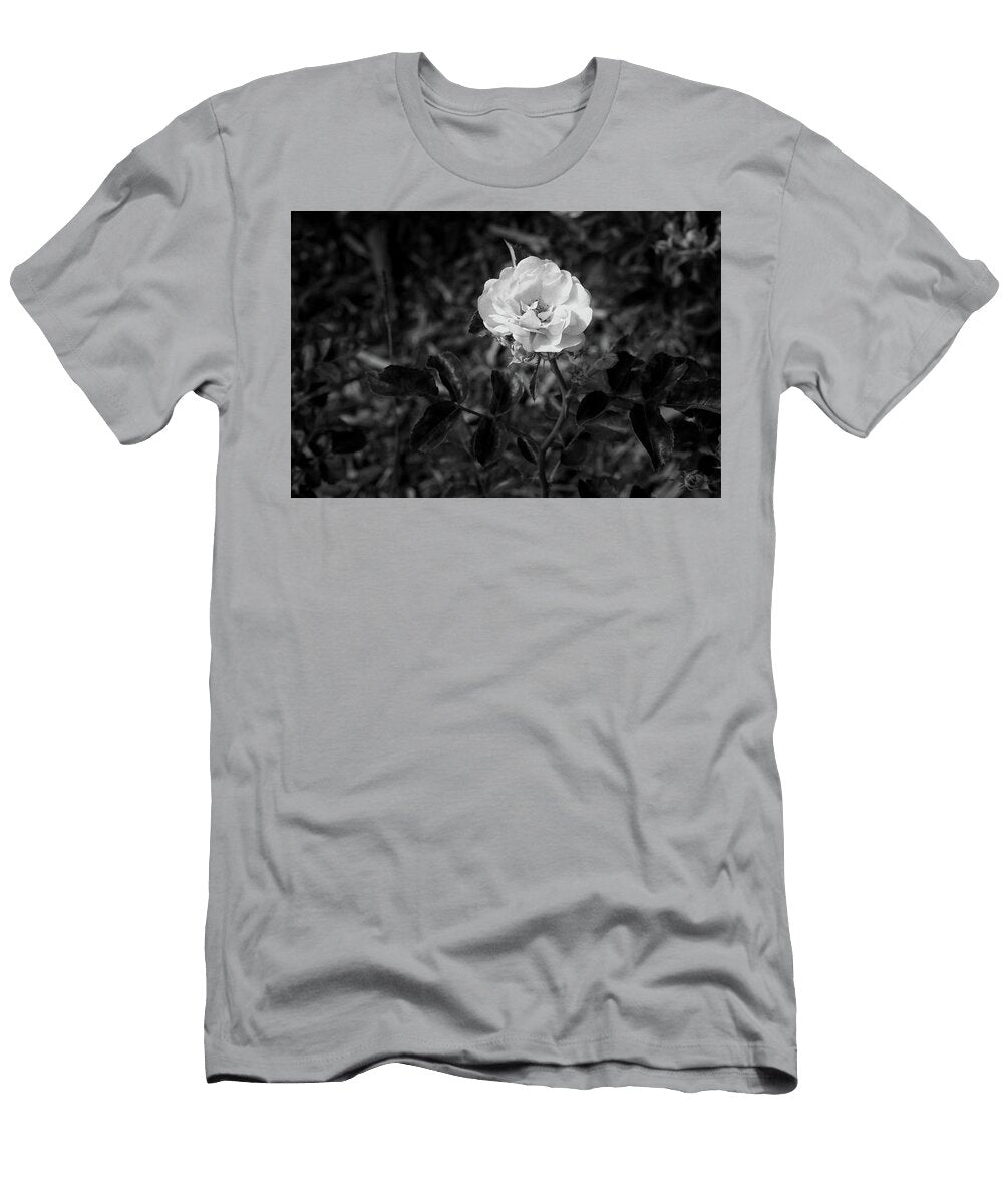 20 2026 5 Coral Drift Rose in Black and White M K Miller T-Shirt