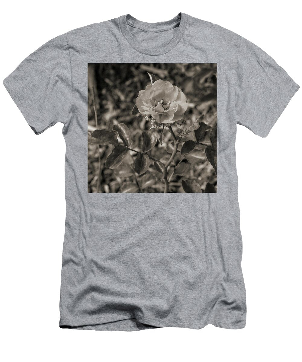 21 2026 5 Coral Drift Rose in Black and White M K Miller T-Shirt