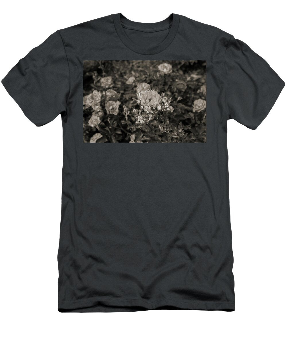 22 2026 5 Coral Drift Rose in Black and White M K Miller T-Shirt