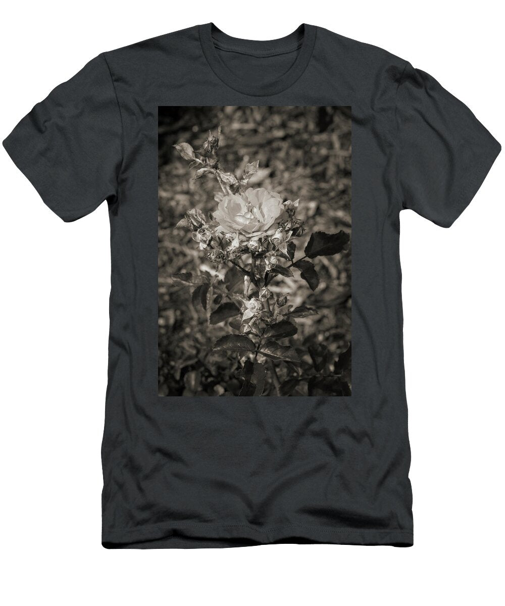 23 2026 5 Coral Drift Rose in Black and White M K Miller T-Shirt