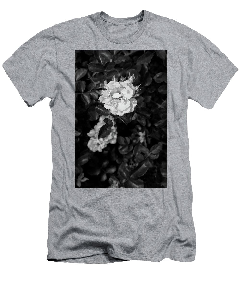 24 2026 5 Coral Drift Rose in Black and White M K Miller T-Shirt