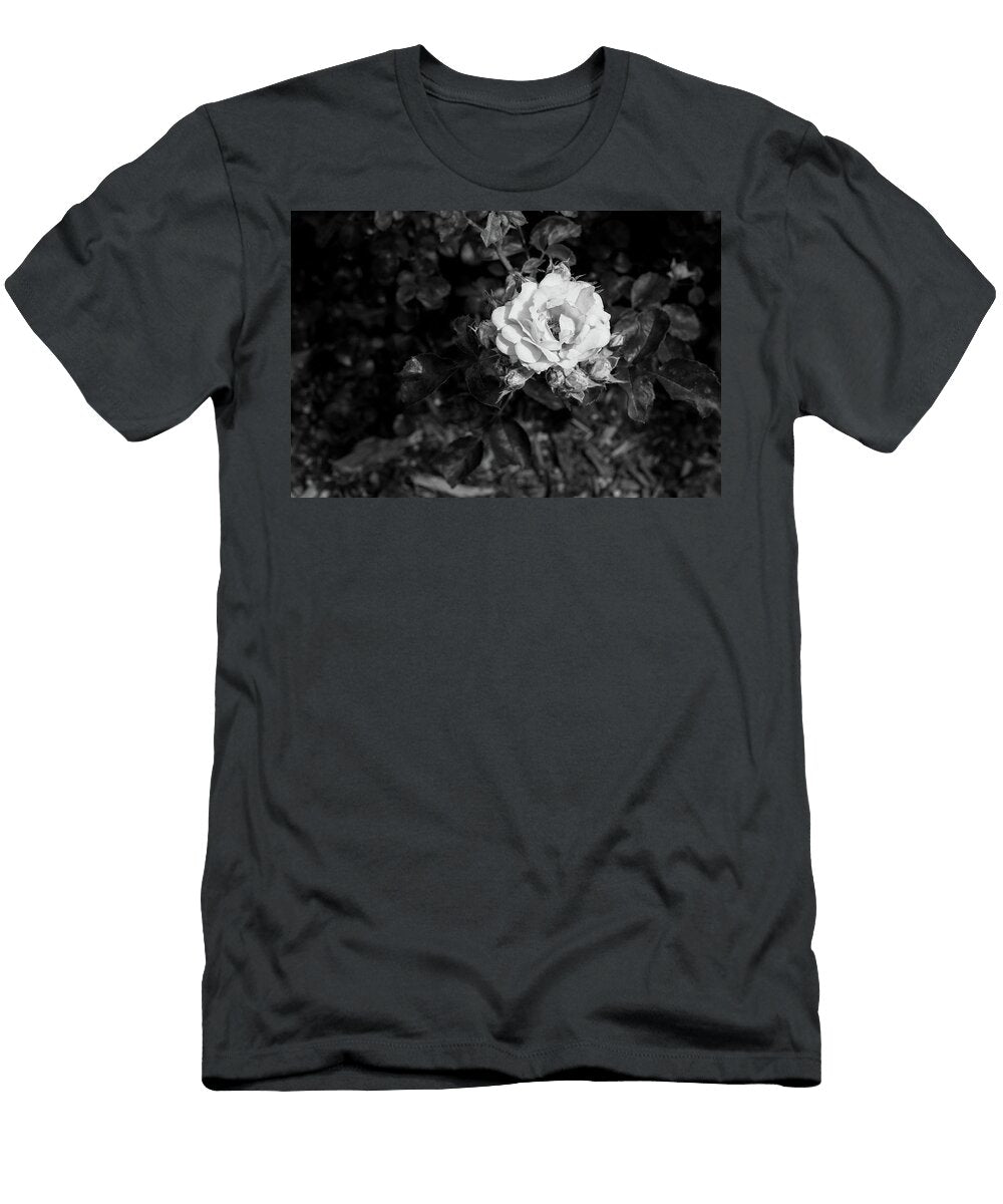 25 2026 5 Coral Drift Rose in Black and White M K Miller T-Shirt