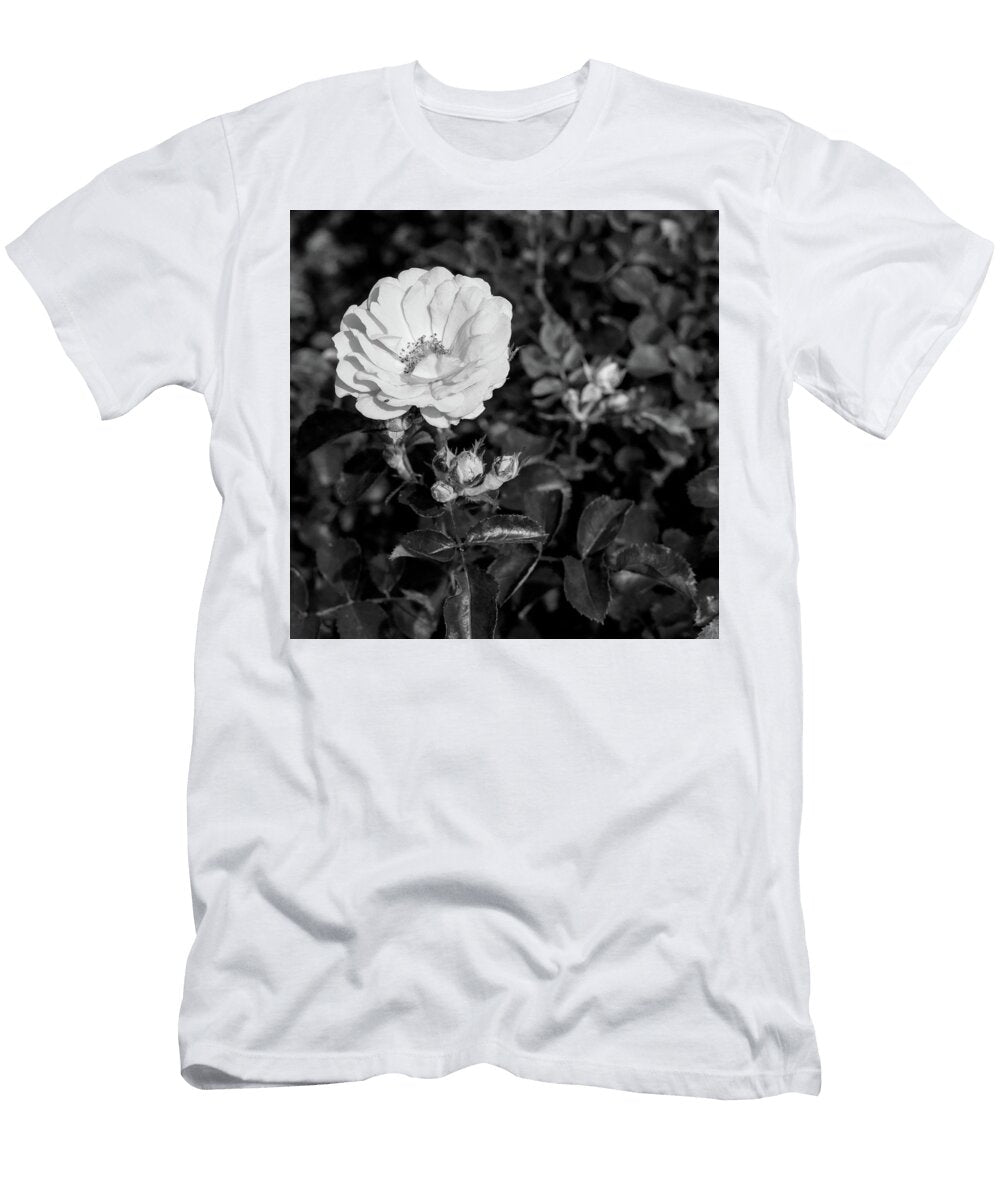 26 2026 5 Coral Drift Rose in Black and White M K Miller T-Shirt