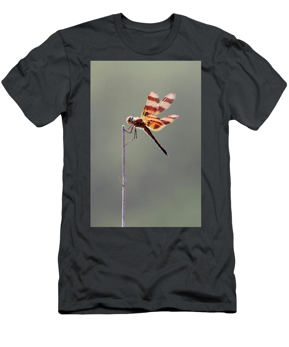 26 Dragonfly Calverton New York Bob Savage T-Shirt