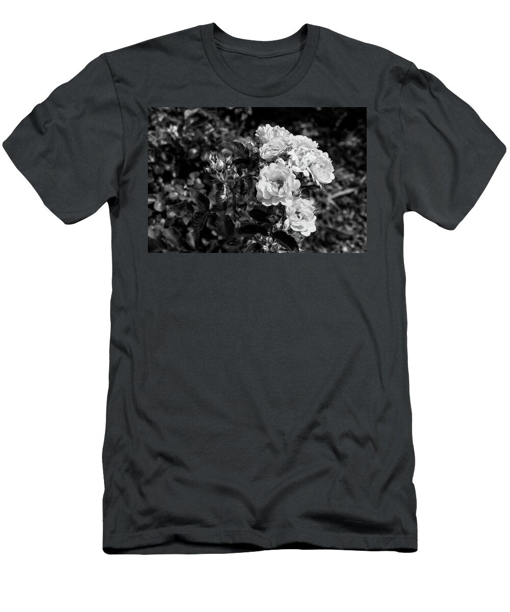 27 2026 5 Coral Drift Rose in Black and White M K Miller T-Shirt
