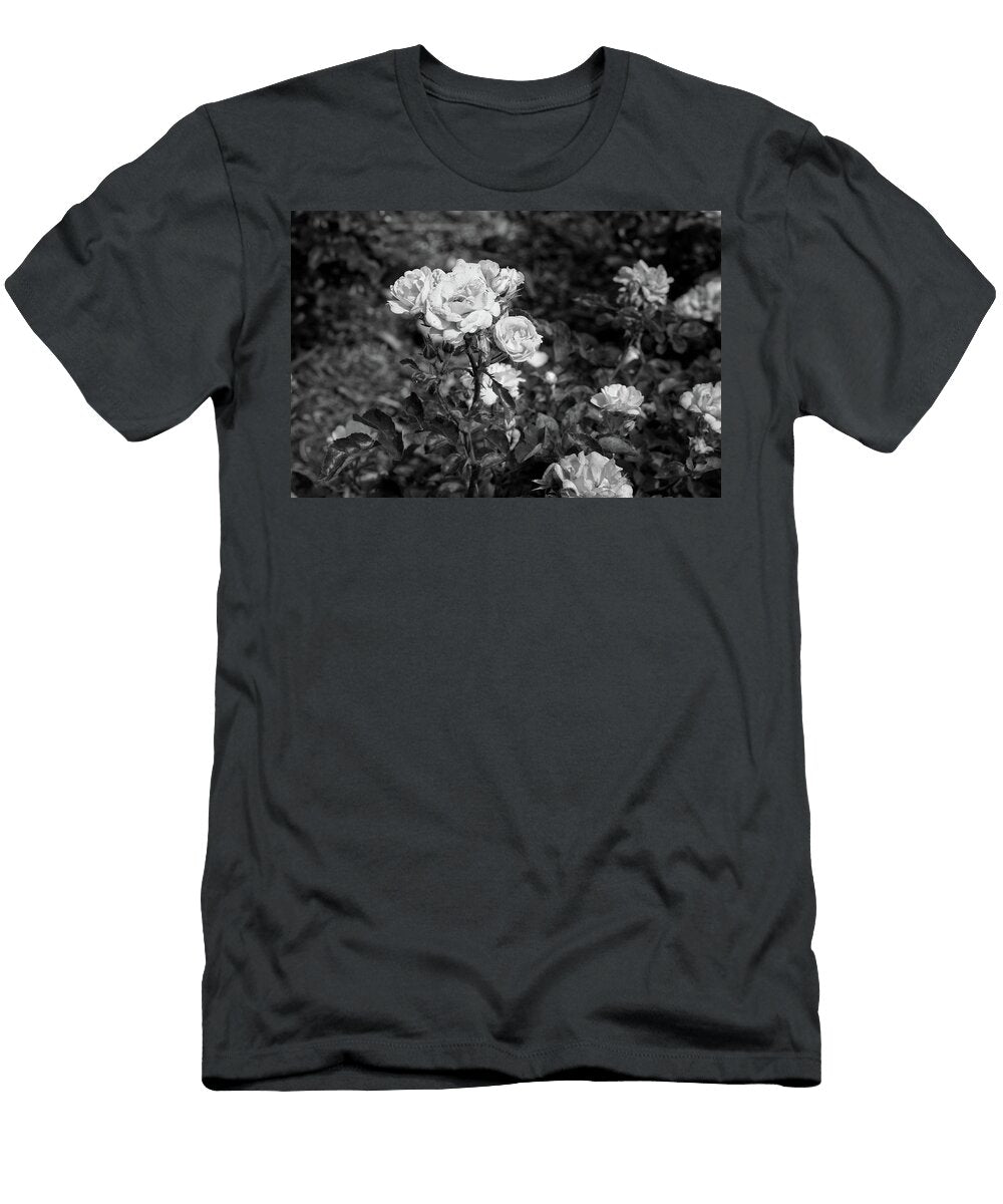 28 2026 5 Coral Drift Rose in Black and White M K Miller T-Shirt