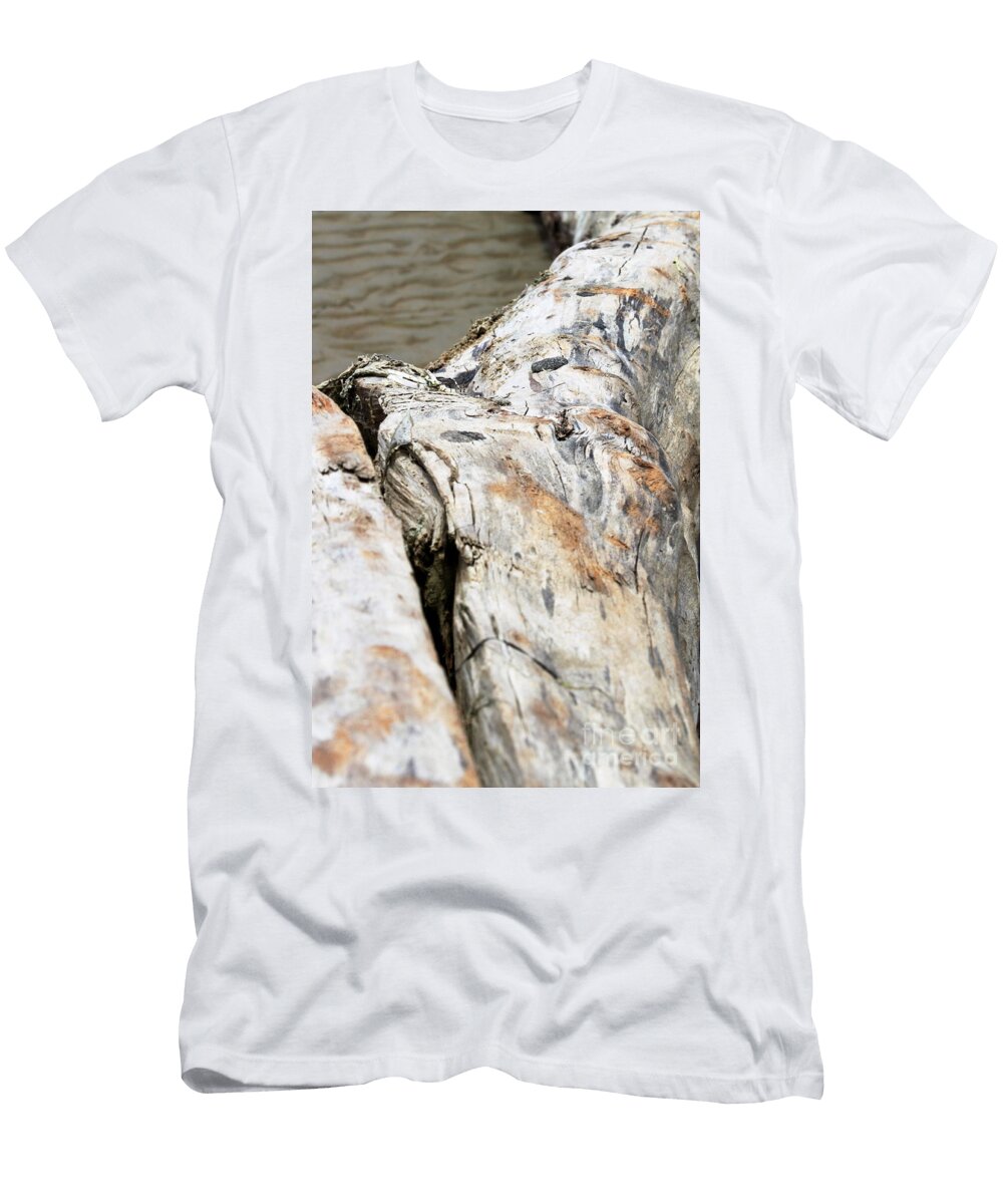 3 Driftwood Henrik Lehnerer T-Shirt
