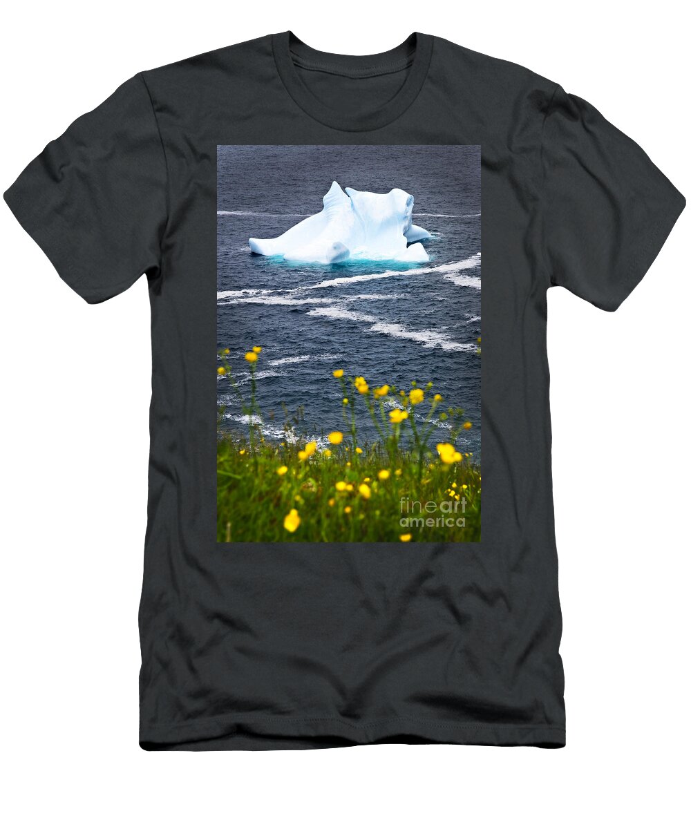 3 Melting Iceberg Elena Elisseeva T-Shirt