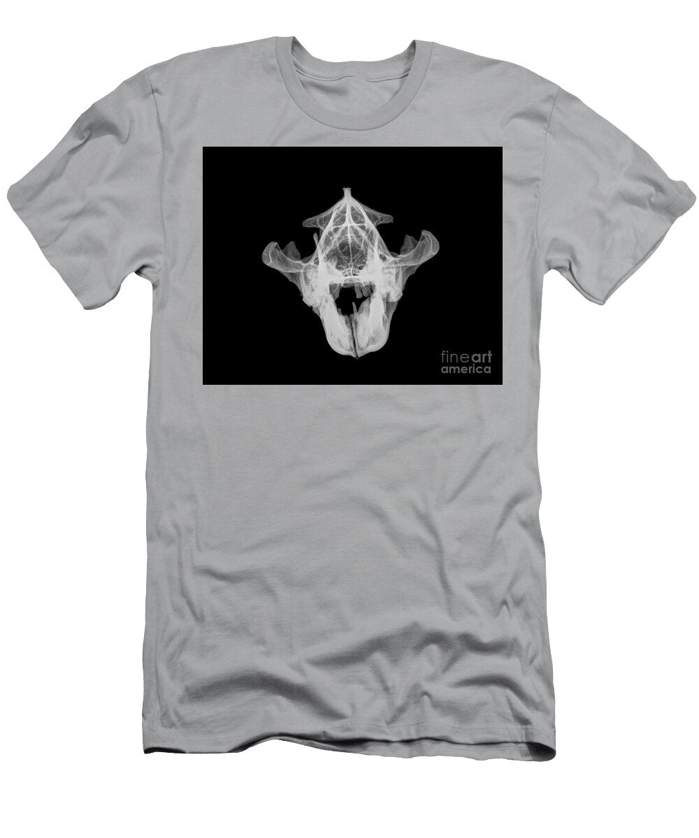 3 X Ray of a Skull of an Hyaena Guy Viner T-Shirt