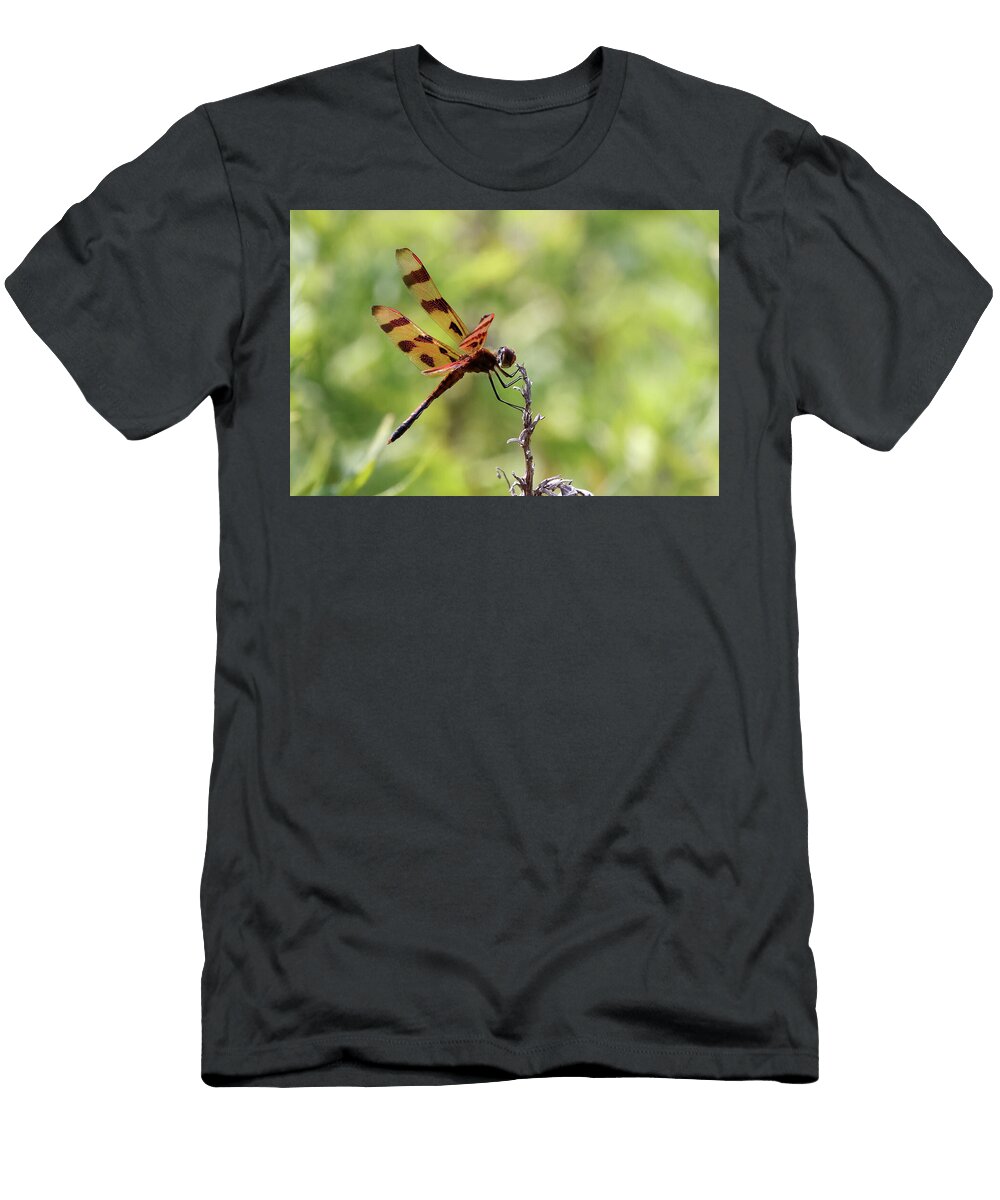 30 Dragonfly Calverton New York Bob Savage T-Shirt