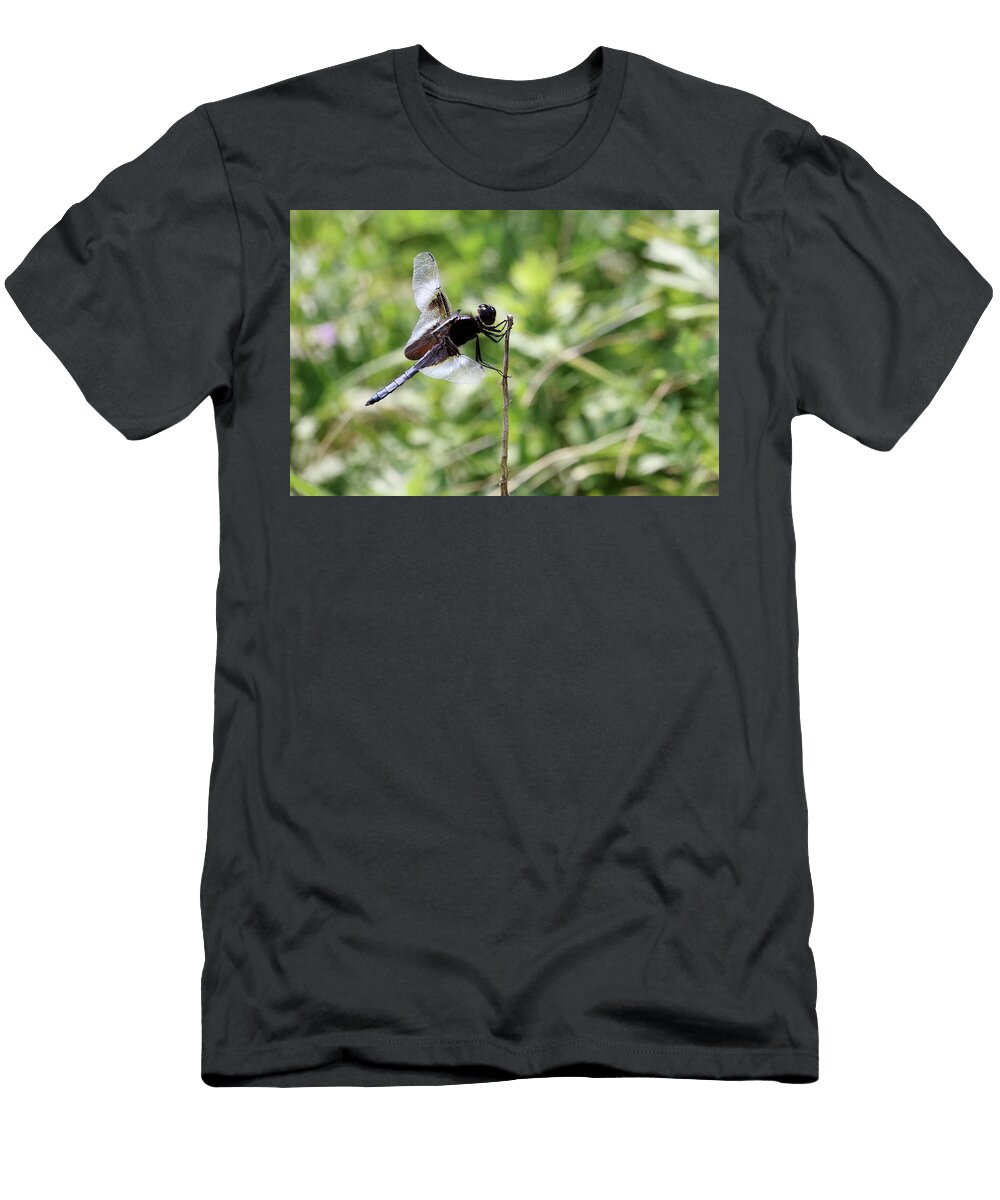 31 Dragonfly Calverton New York Bob Savage T-Shirt