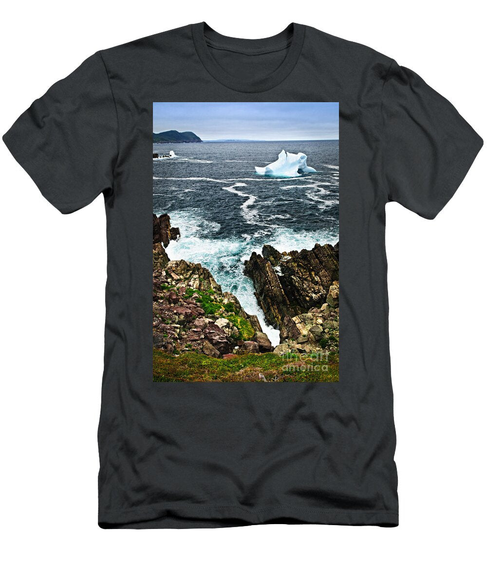 4 Melting Iceberg Elena Elisseeva T-Shirt