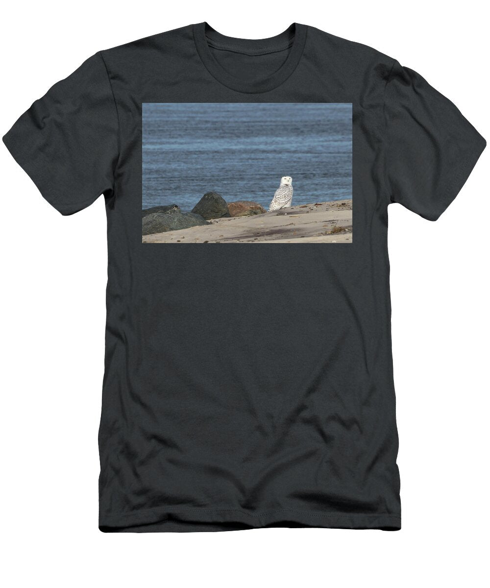 6 Snowy Owl Westhampton New York Bob Savage T-Shirt
