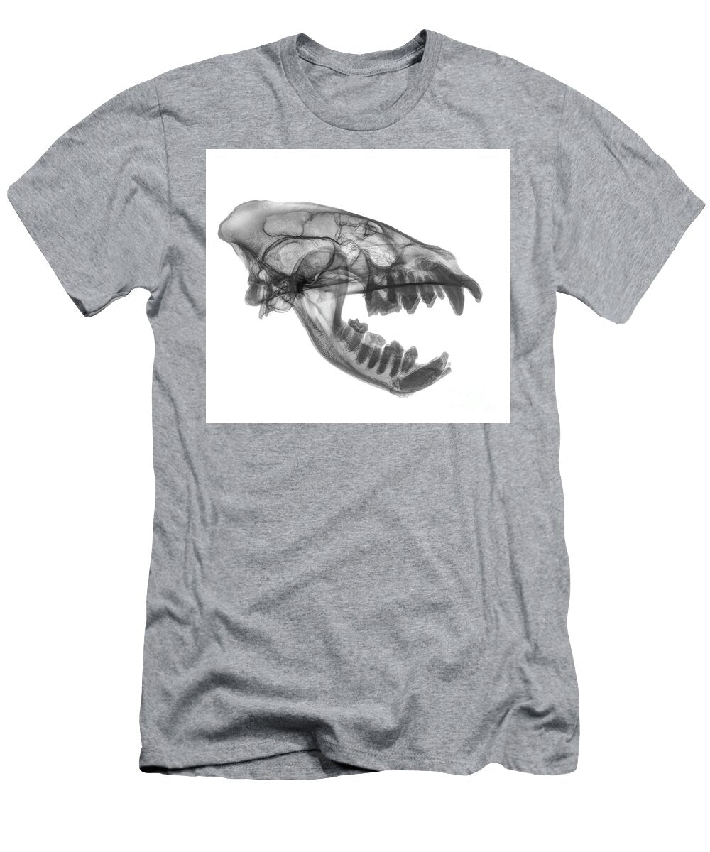6 X Ray of a Skull of an Hyaena Guy Viner T-Shirt