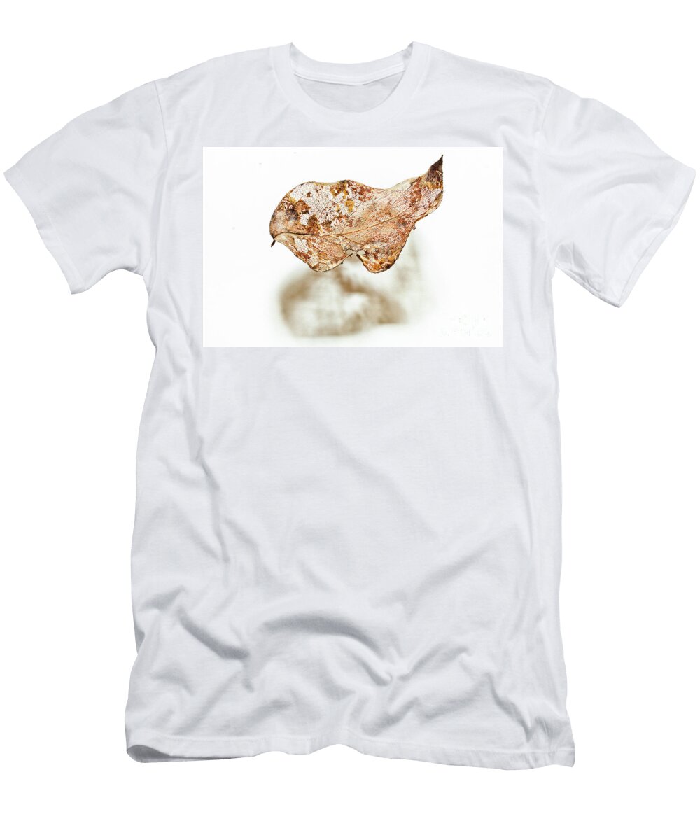 A Leaf Masako Metz T-Shirt