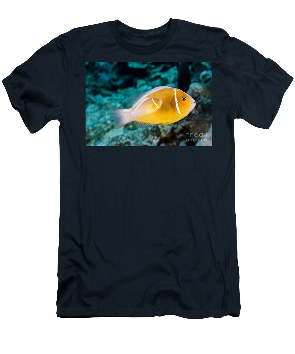 Anemone Perspective Dave Fleetham T-Shirt