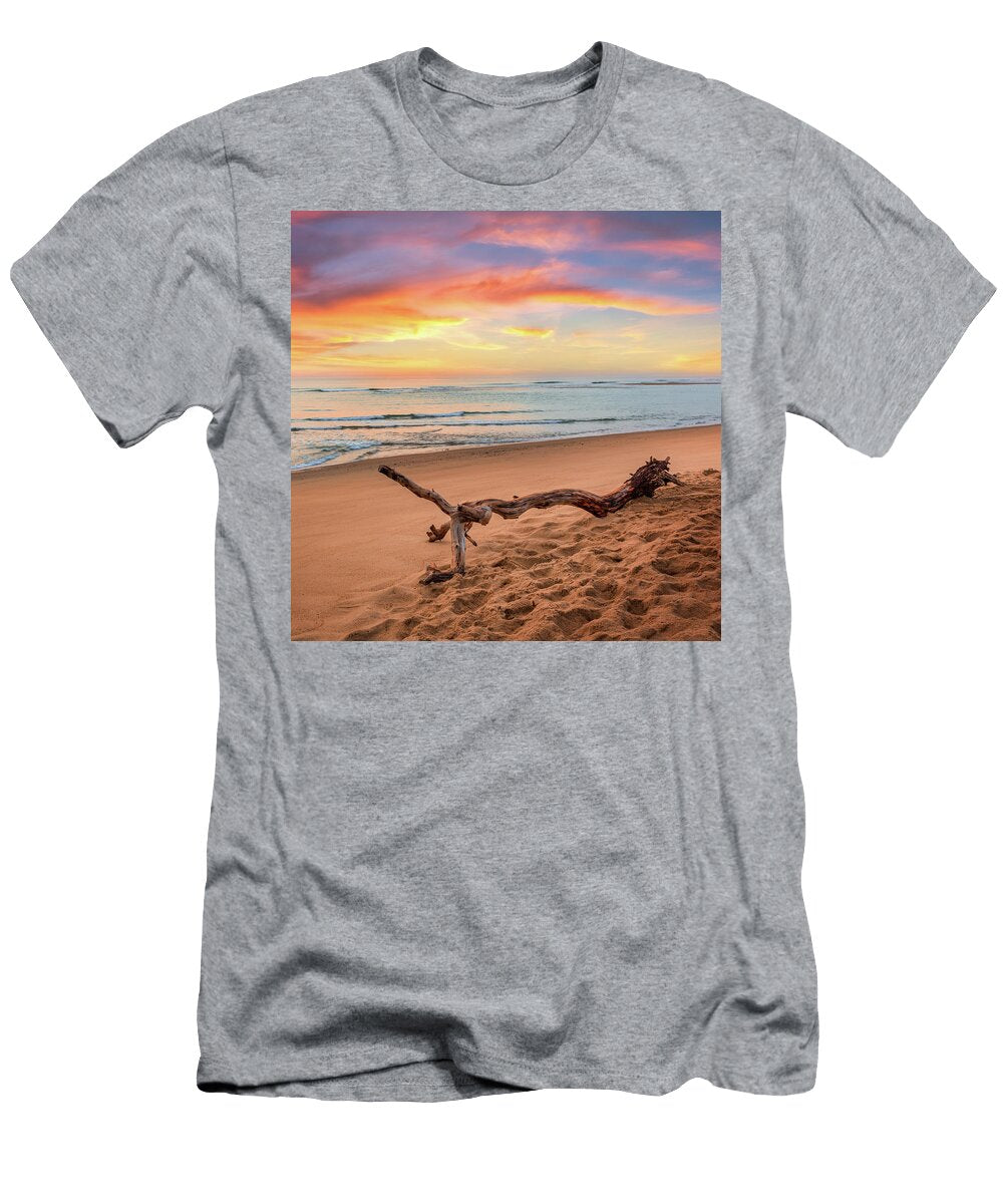 Atlantic Ocean Driftwood Square Bill Wakeley T-Shirt