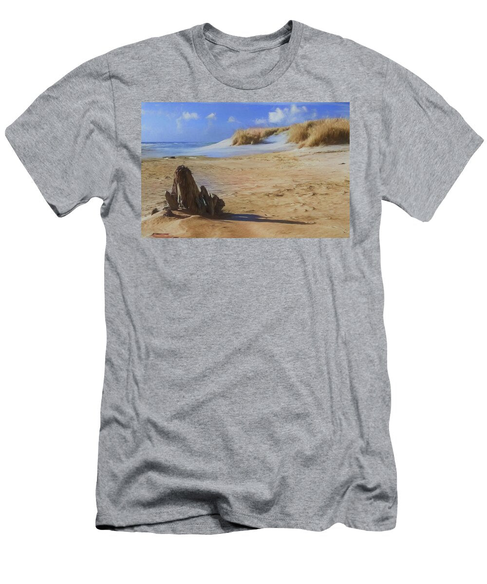 Beach Ocean Coast Driftwood Sunrise Ap 405 Dan Carmichael T-Shirt