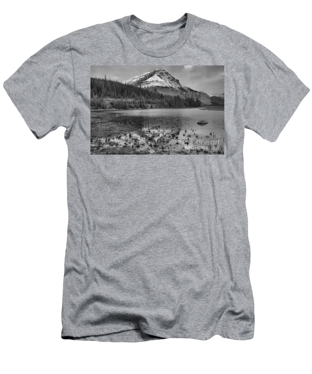 Beauty Creek Golden Stripe Black and White Adam Jewell T-Shirt