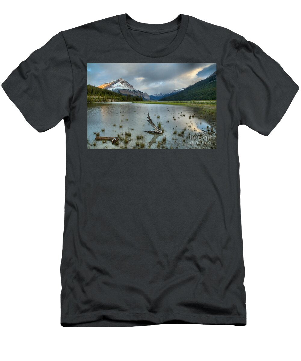 Beauty Creek Touch of Gold Adam Jewell T-Shirt