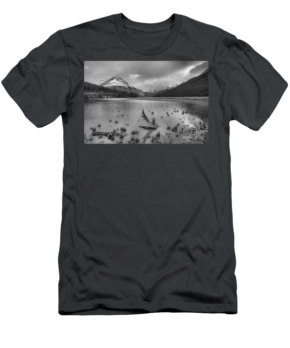Beauty Creek Touch of Gold Black and White Adam Jewell T-Shirt