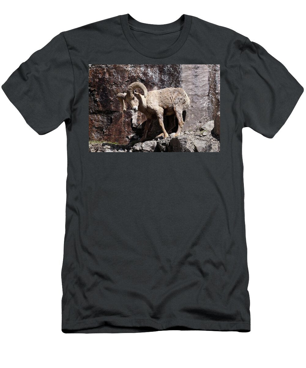 Bighorn Sheep Yellowstone USA Bob Savage T-Shirt