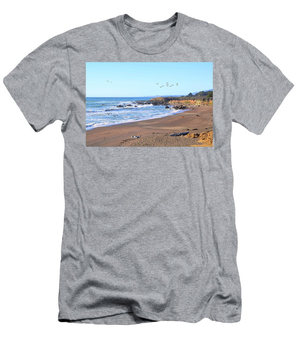 Birds At Leffingwell Landing From Moonstone Beach Floyd Snyder T-Shirt