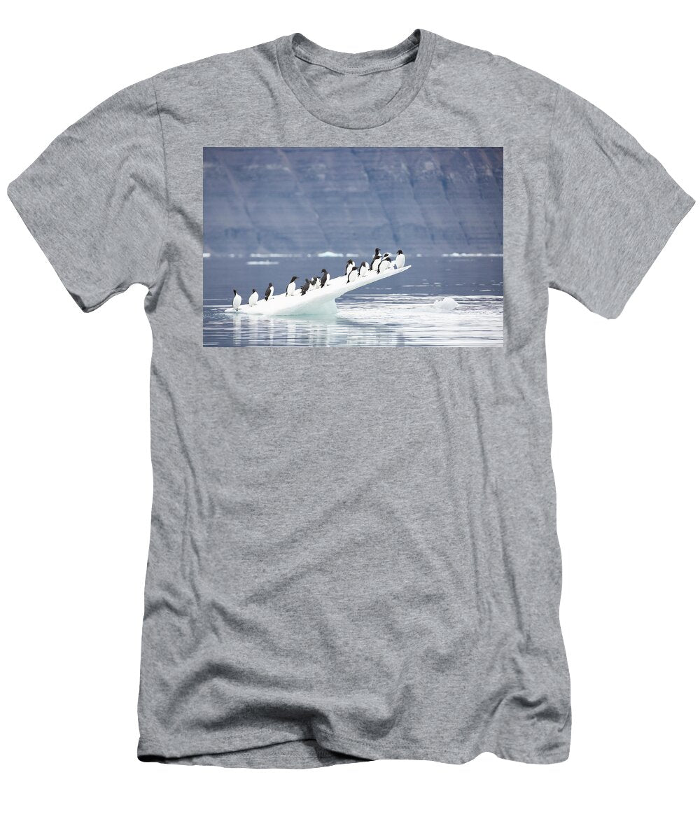Brunnichs Guillemot Flock Perched on Floating Ice Mary Mcdonald Natureplcom T-Shirt