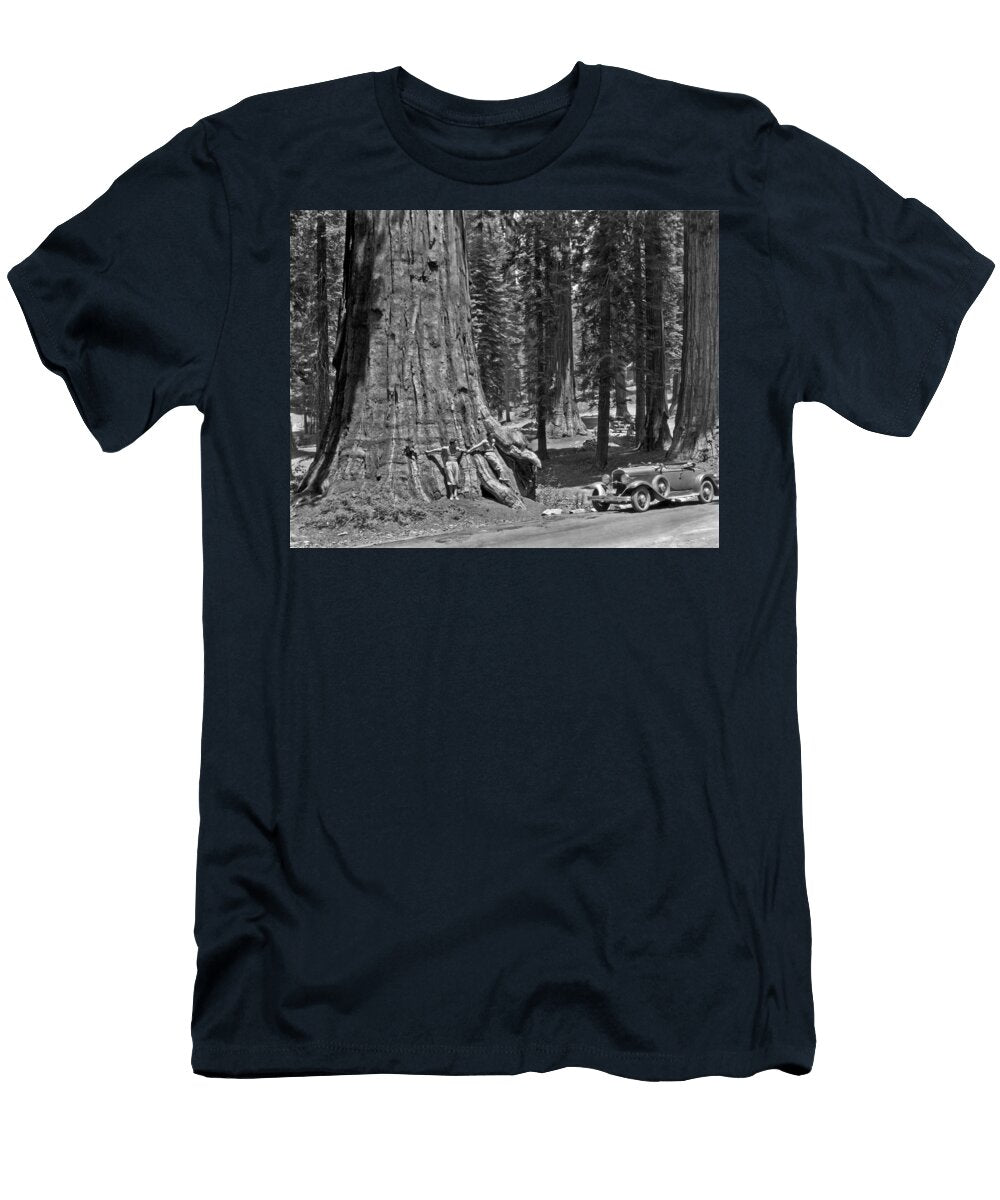California Sequoia Tree Underwood Archives T-Shirt