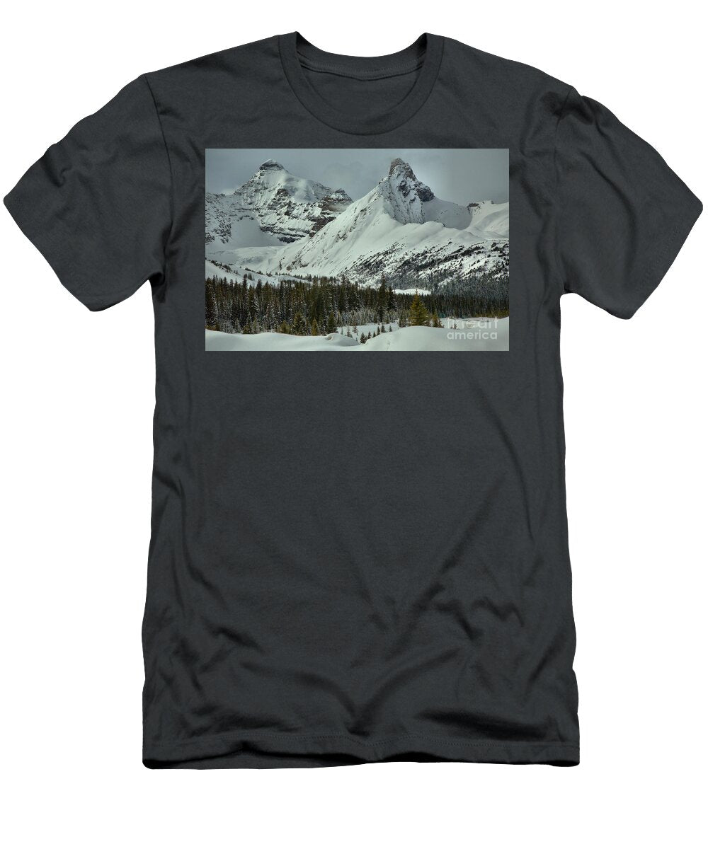 Canadian Rockies Mid Winter Adam Jewell T-Shirt