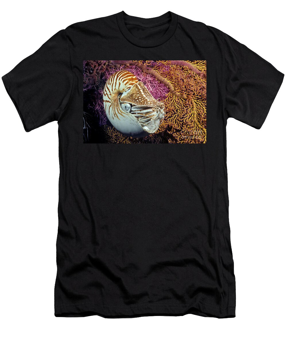 Chambered Nautilus Nautilus Pompilius Indonesia Dave Fleetham T-Shirt