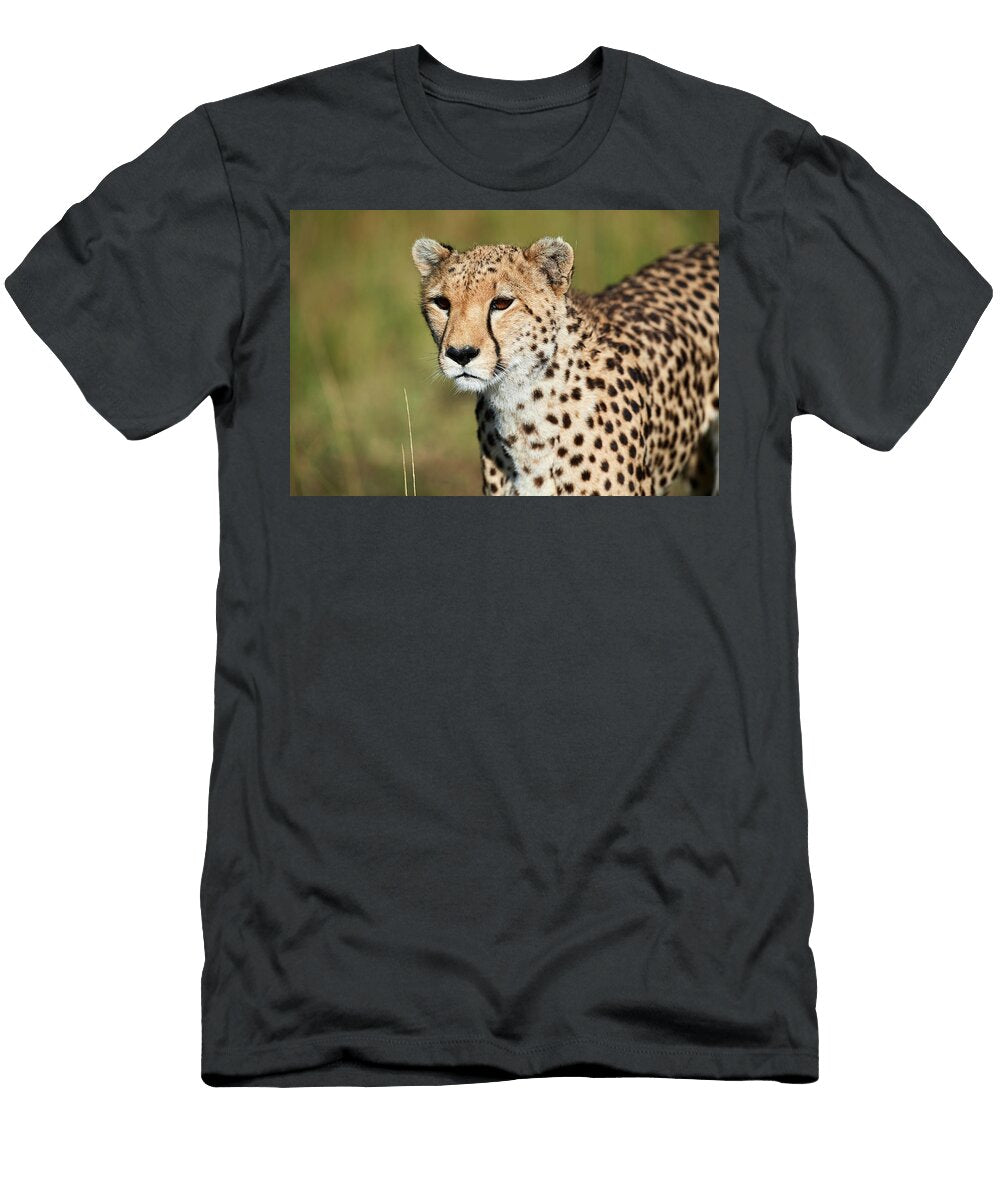 Cheetah Portrait Masai Mara National Reserve Eric Baccega Natureplcom T-Shirt