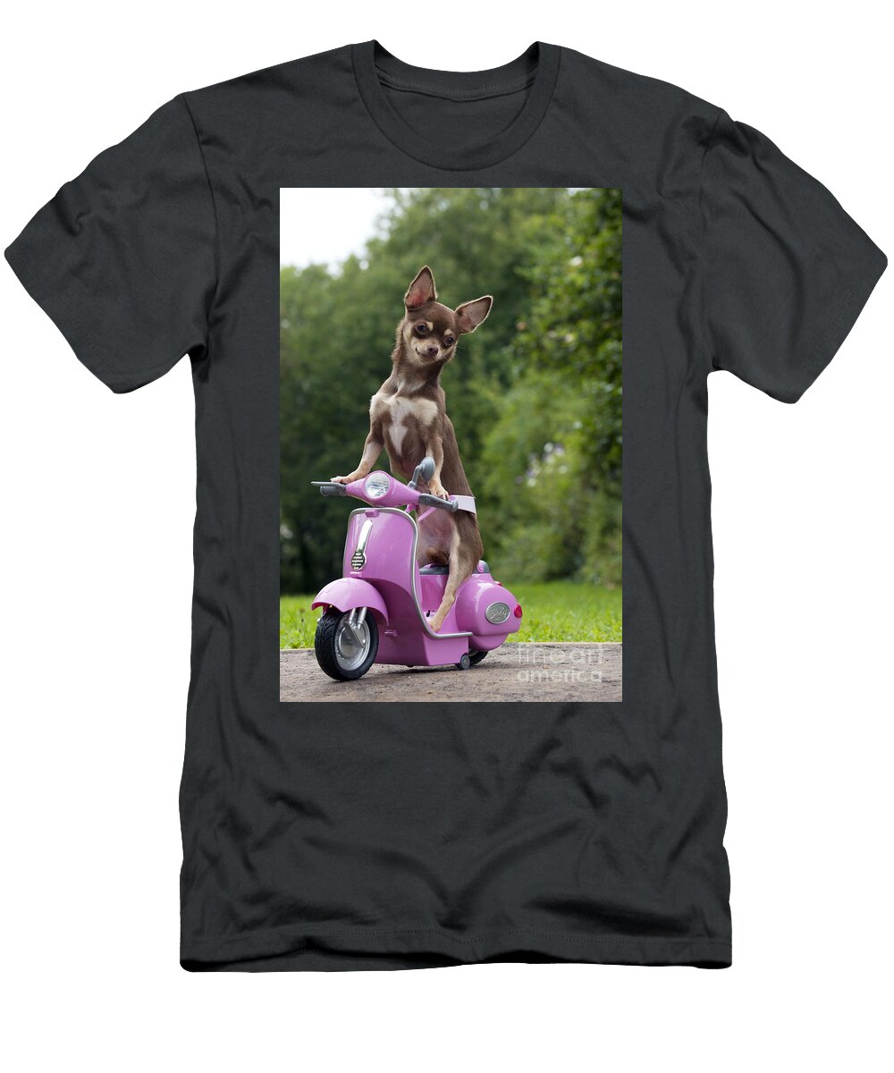Chihuahua on Scooter John Daniels T-Shirt