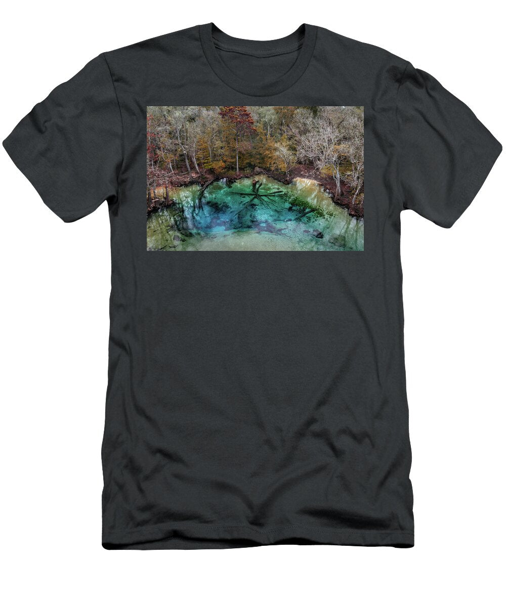 Cypress Spring Aerial Alex Mironyuk T-Shirt