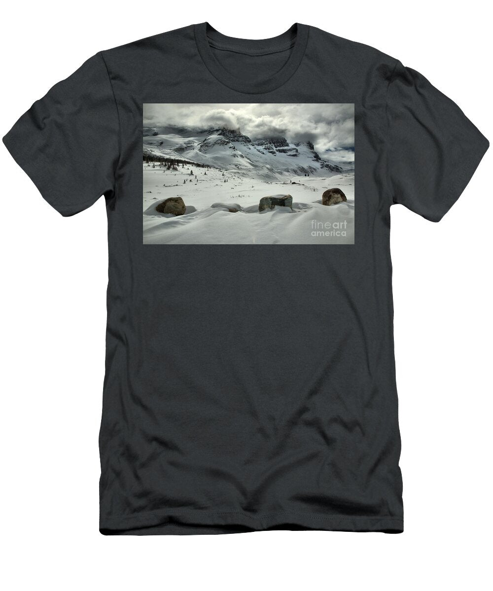 Desolate Winter Adam Jewell T-Shirt