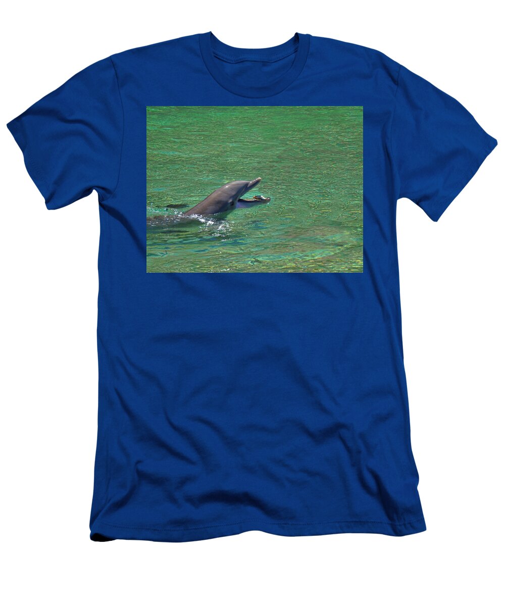 Dolphin Catches the Fish Pamela Walton T-Shirt