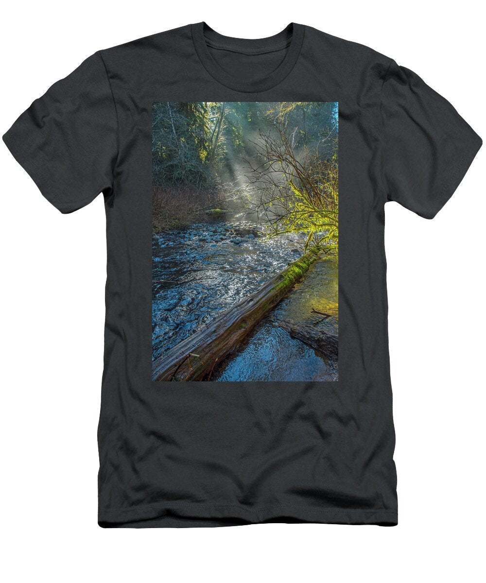 Drift Creek Mist Matthew Irvin T-Shirt