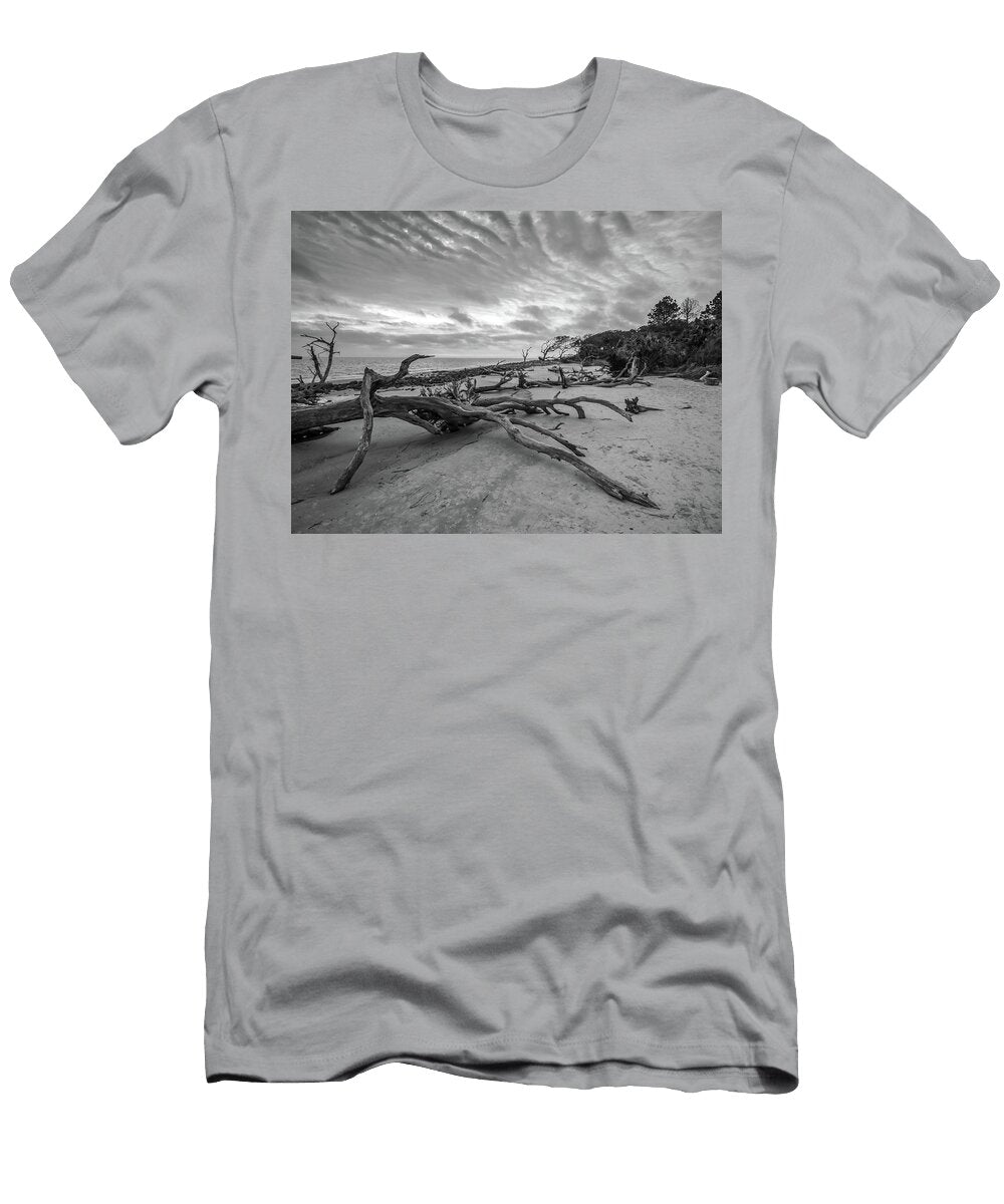 Drift Wood Beach Photograph Louis Dallara T-Shirt
