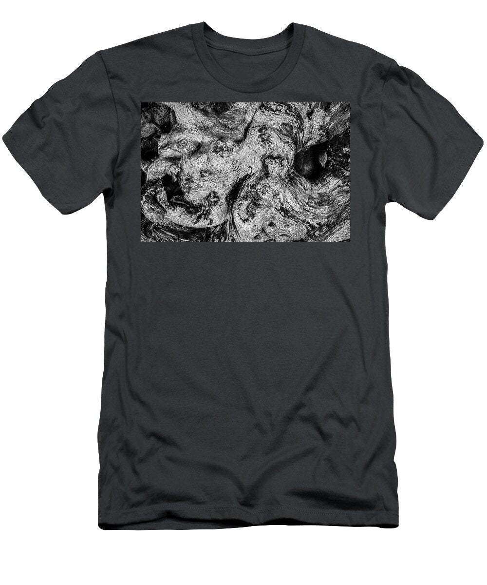 Driftwood Iii Bw David Gordon T-Shirt