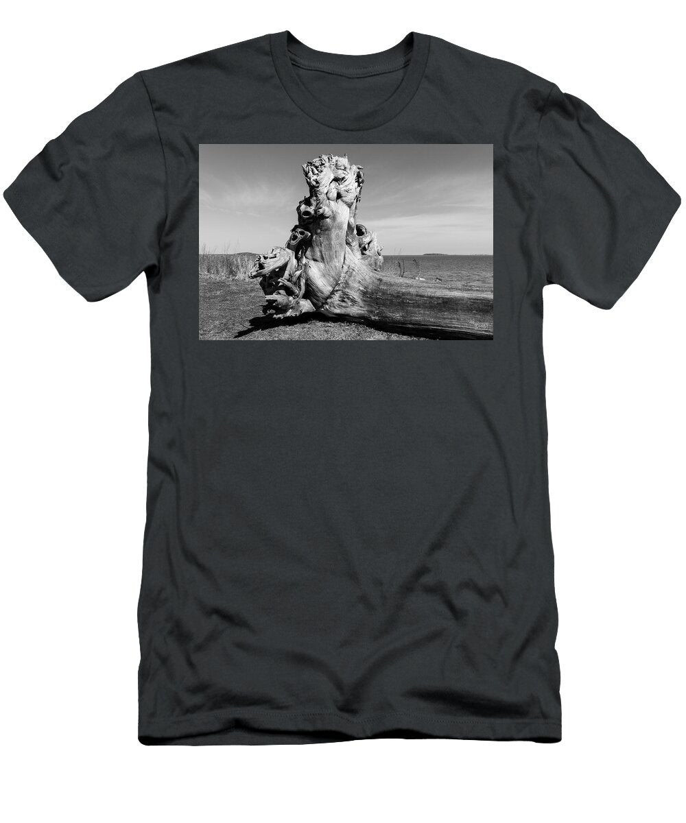 Driftwood Viii Bw David Gordon T-Shirt